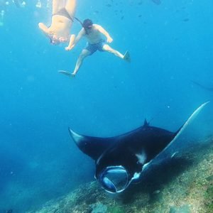 Nusa Penida Snorkeling Safari Tour with Private Boat