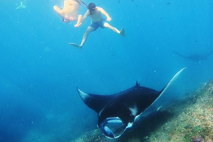 Nusa Penida Snorkeling Safari Tour with Private Boat