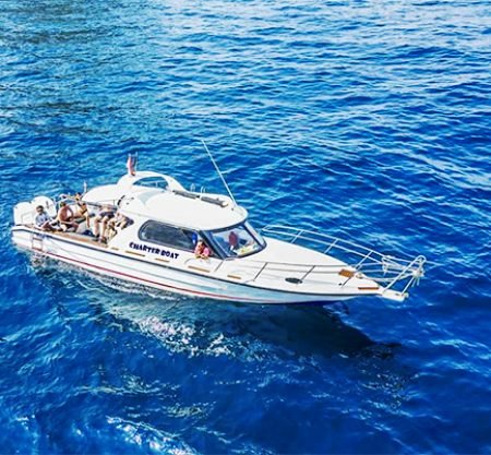 Private Nusa Penida Snorkeling Tour from Bali – Manta Point & Crystal Bay