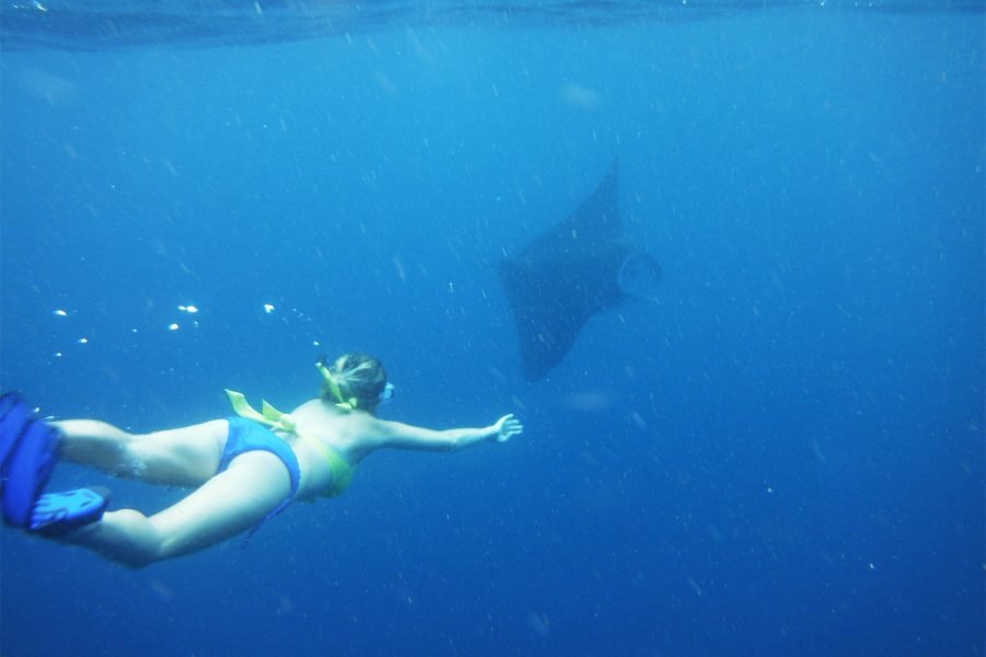 Share Snorkeling to Manta Point Nusa Penida