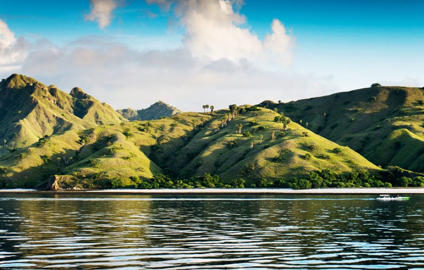 MEDIUM PHINISI 5 – KOMODO LIVEABOARD, FROM BALI