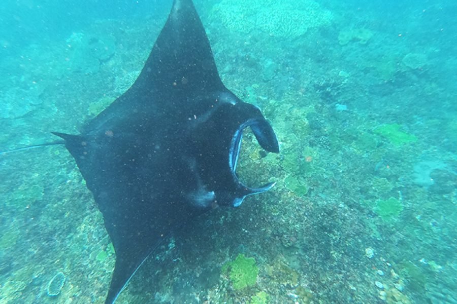 Nusa Penida Deluxe Tour Package 4 Days 3 Nights – Luxury Island Escape