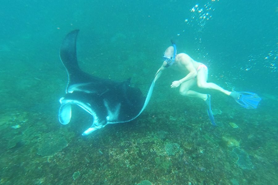 Nusa Penida Island Circle Tour: Unlimited Manta Snorkeling & Hidden Beaches