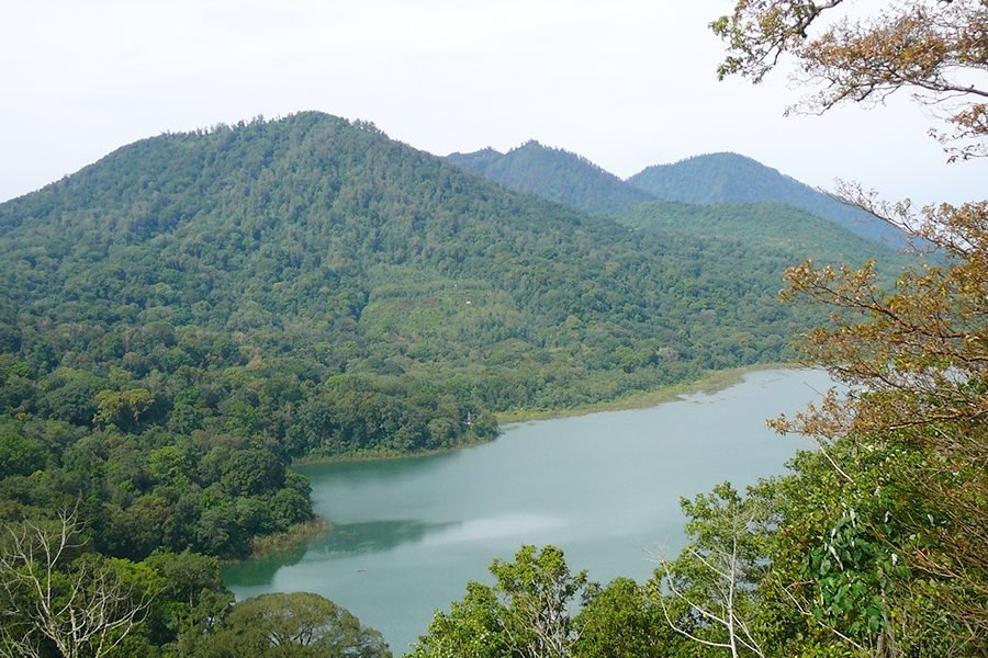 Banyumala Waterfall, Lake Tamblingan, and Jatiluwih Rice Terrace Tour