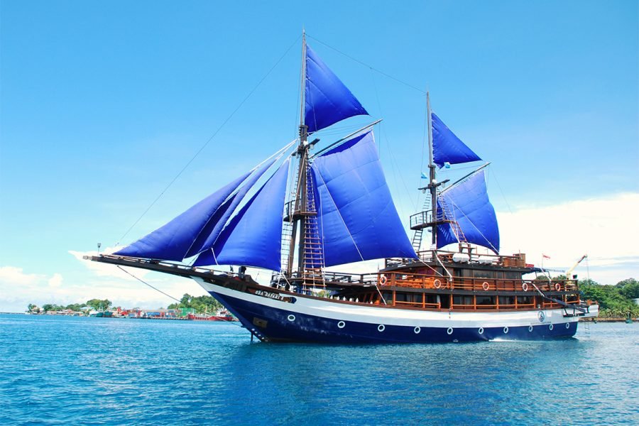 Sea Safari Cruise 8: Komodo Liveaboard on June - August 2024