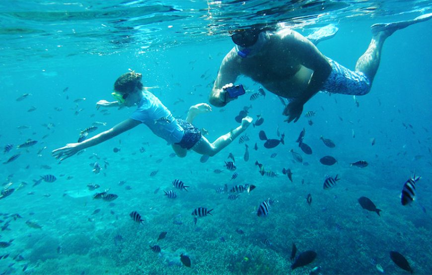 Charter Boat-3 Spot Snorkeling-East & West Part Nusa Penida Tour Land