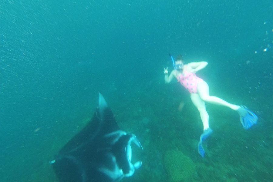 Nusa Penida Snorkeling Tour to Manta Point