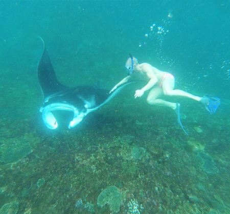 Komodo Whale Shark and Manta Point Nusa Penida 7 Days 6 Nights