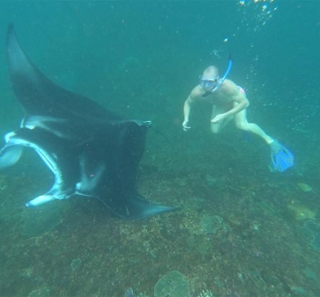 Nusa Penida Kelingking Beach Tour & Manta Point Snorkeling Experience