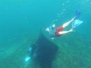 Nusa Penida Snorkeling Tour to Manta Point