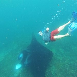 Nusa Penida Snorkeling Tour to Manta Point