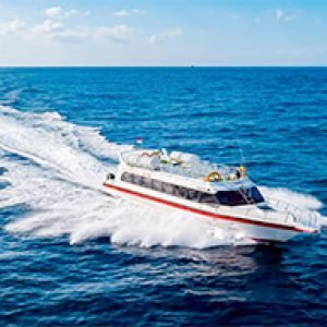 Bali to Komodo Island Hopping: Nusa Penida, Gili Trawangan & Whale Shark 7 Days 6 Nights