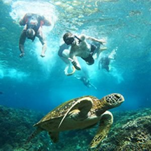 Snorkeling Gili Trawangan