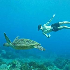 Snorkeling Gili Trawangan