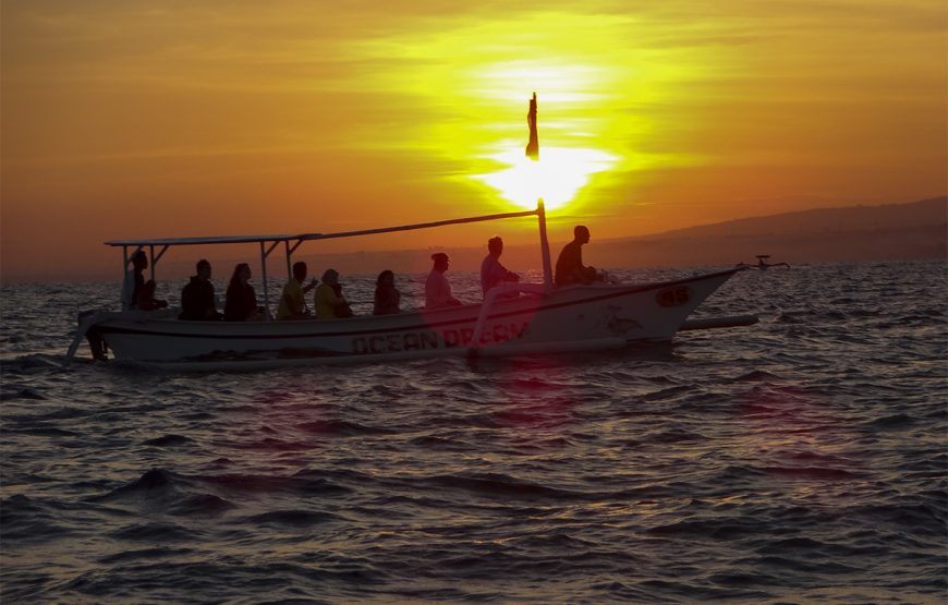 Lovina Sunrise Dolphin Watching, Hot spring, and Banyumala Waterfall