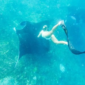 Snorkeling with manta ray