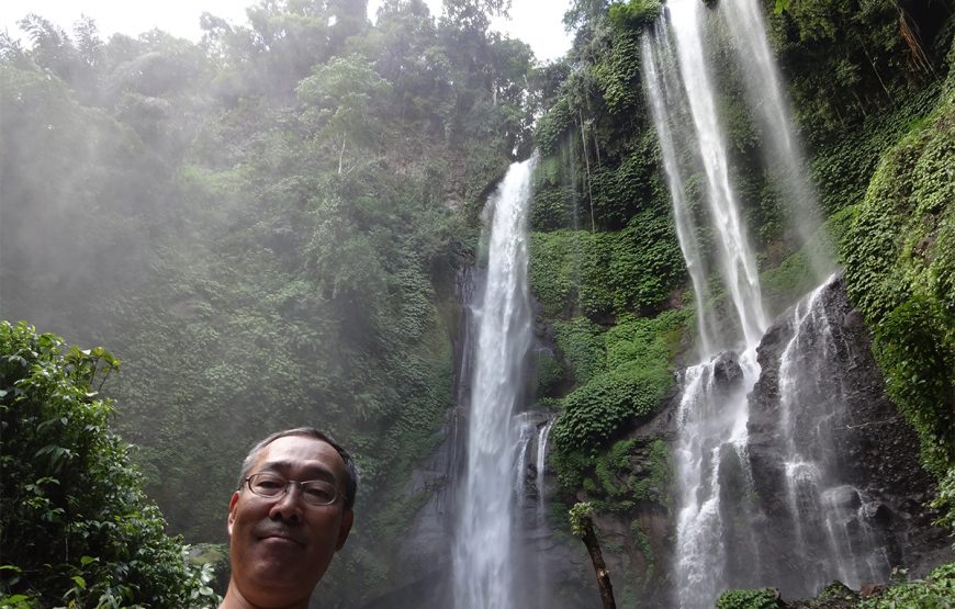 Bali UNESCO: Taman Ayun, Jatiluwih, Ulun Danu Temple, and Sekumpul Waterfall