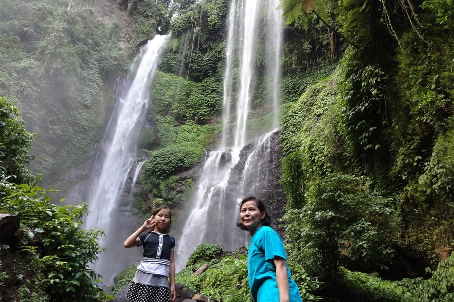 Bali Dolphin Sunrise and Waterfall Tour