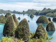 Raja Ampat & Misool Dive Liveaboard 8 Days 7 Nights – Ultimate Diving Experience