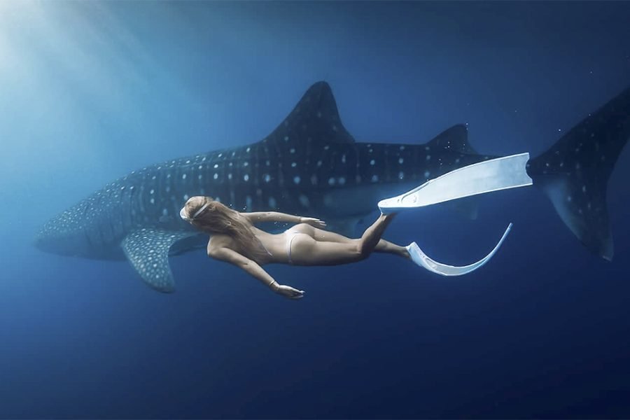 Luxury Liveaboard Bali to Komodo & Whale Shark via Lombok and Nusa Penida 11 Days