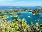 Raja Ampat Snorkeling Boat Tour 4 Days 3 Nights – Explore Paradise