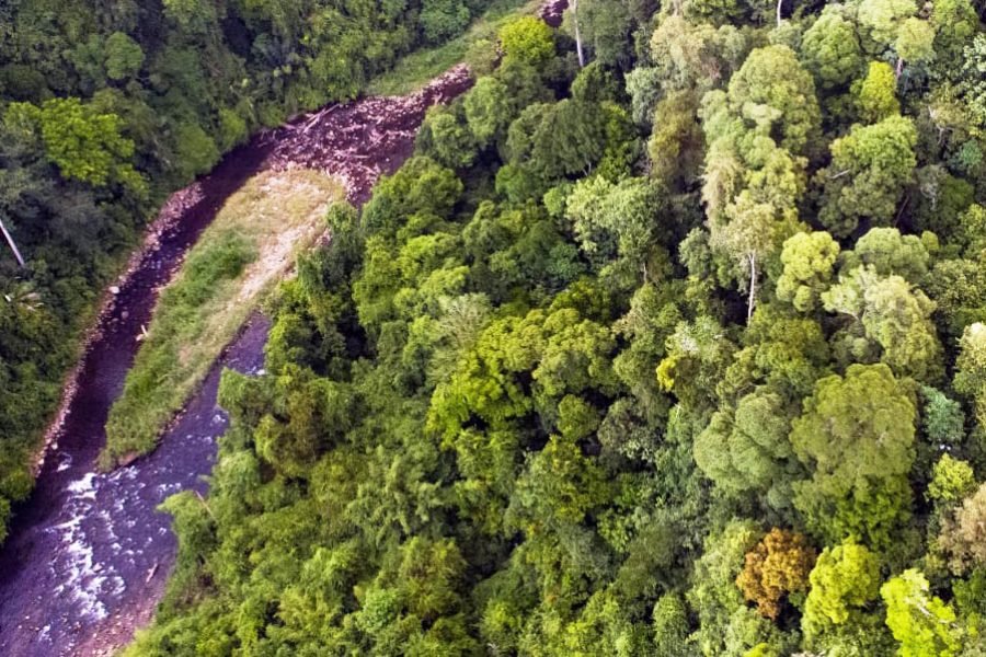 Sumatra Trip Adventure 6 Days 5 Night