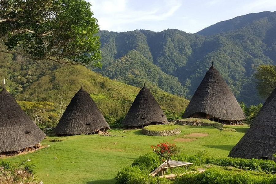 Komodo Wae Rebo Trip 7 Days 6 Nights from Bali