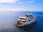 Wakatobi Archipelago Luxury Liveaboard – Tropical Diving & Snorkeling Journey