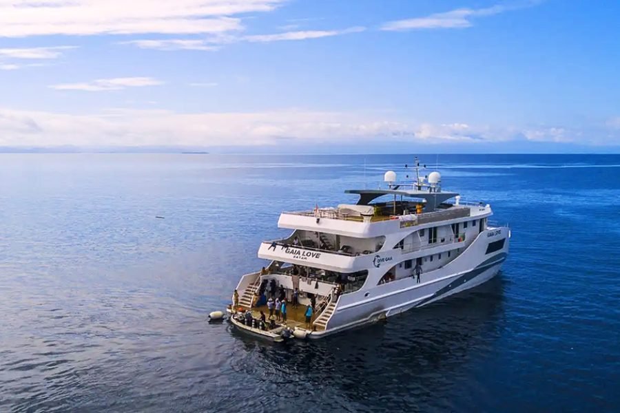 Wakatobi Archipelago Luxury Liveaboard – Tropical Diving & Snorkeling Journey