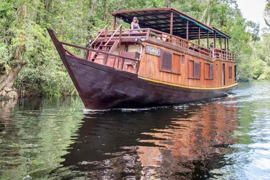 Borneo Orangutan Tour Liveaboard 4 Days 3 Night