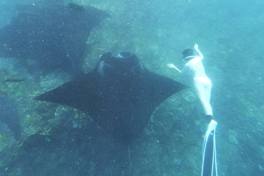 Luxury Bali, Komodo & Raja Ampat Liveaboard Expedition – 12 Days 11 Nights Indonesia Archipelago Journey