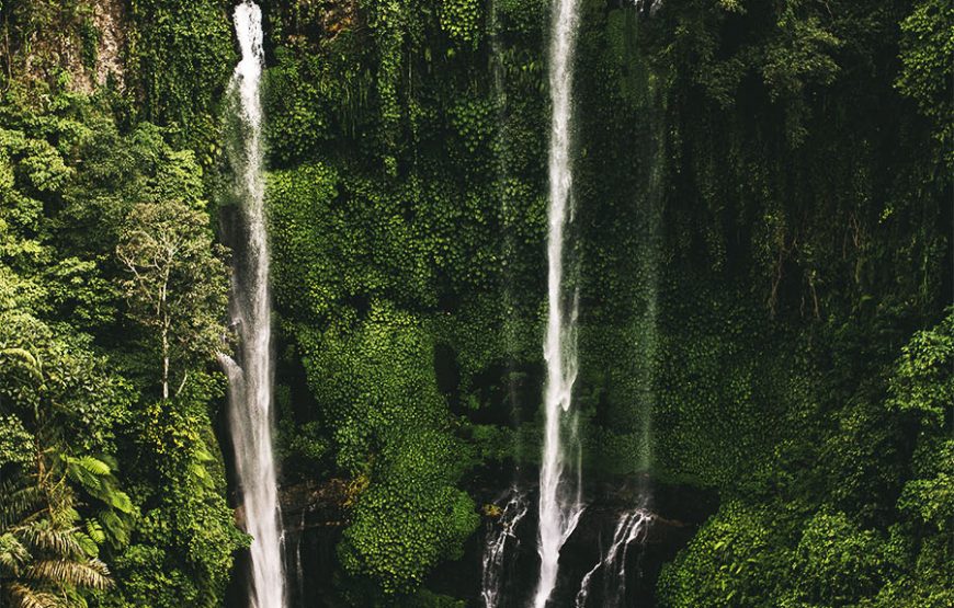 Bali UNESCO: Taman Ayun, Jatiluwih, Ulun Danu Temple, and Sekumpul Waterfall