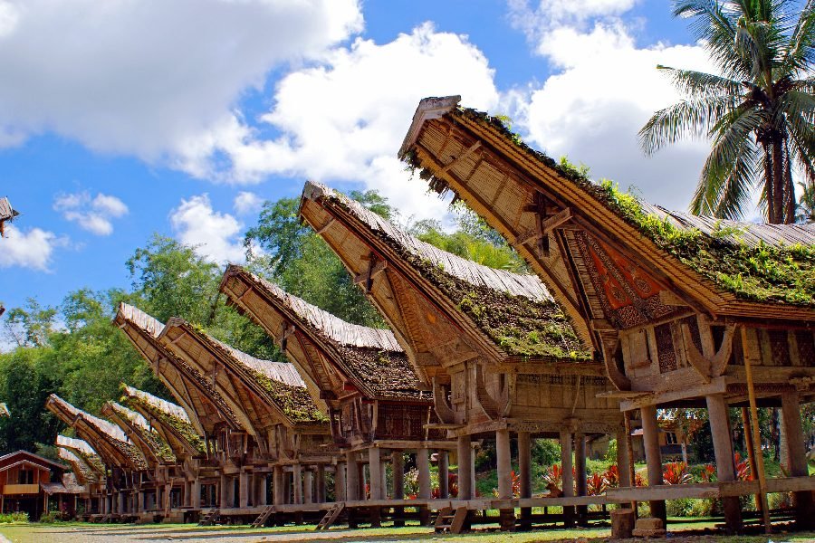 Toraja Tour Package 4 Days 3 Nights