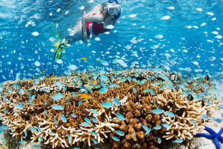 The Best Snorkeling Spot in Bali