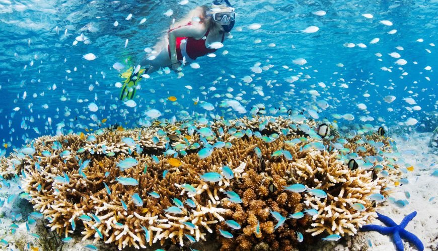 The Best Snorkeling Spot in Bali