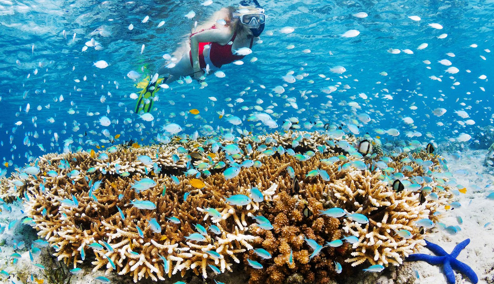 The Best Snorkeling Spot in Bali