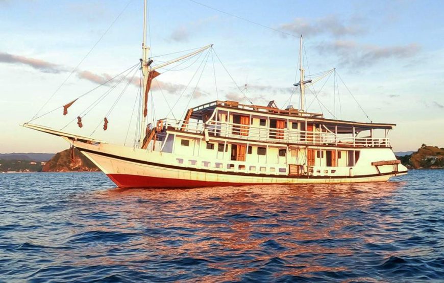 MEDIUM PHINISI 1 – KOMODO LIVEABOARD, FROM BALI