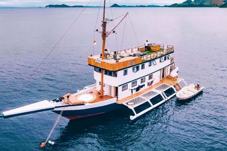 LUXURY PHINISI 10 – KOMODO LIVEABOARD,FROM BALI