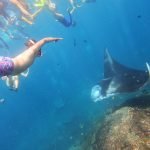 Top Location For Swim With Manta Rays In Nusa Penida