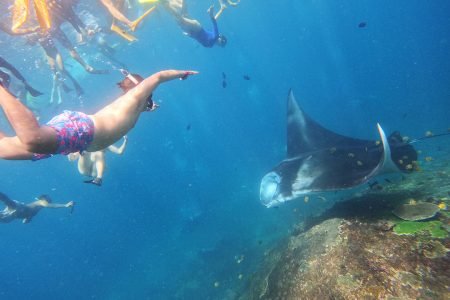 Top Location For Swim With Manta Rays In Nusa Penida