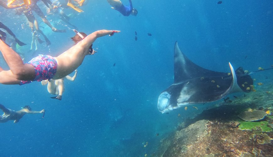 Top Location For Swim With Manta Rays In Nusa Penida